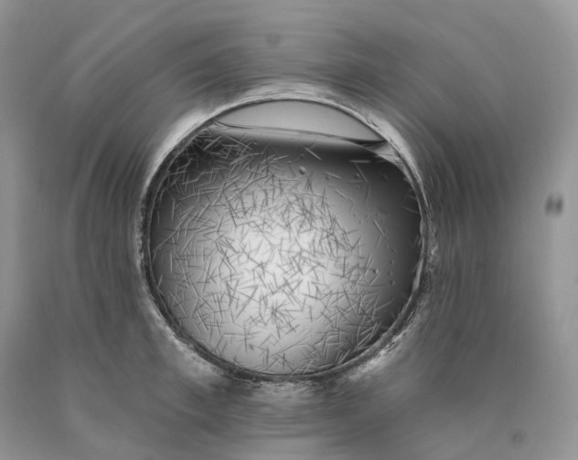 X0000089910997200707201752