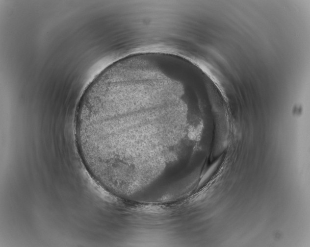 X0000089910998200707201752