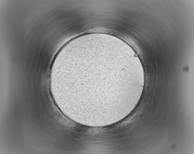 X0000089911000200707201752