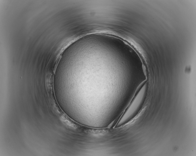 X0000089911001200707201752