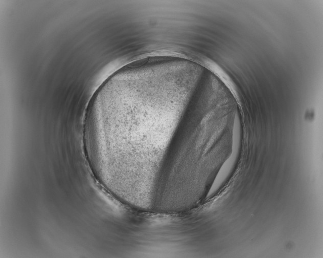 X0000089911002200707201752