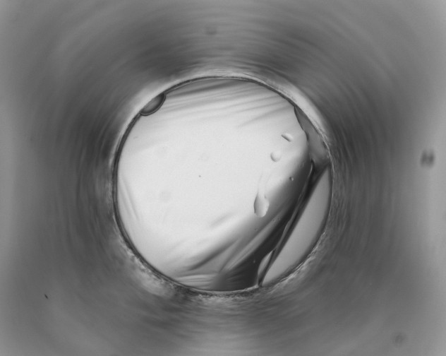 X0000089911004200707201752