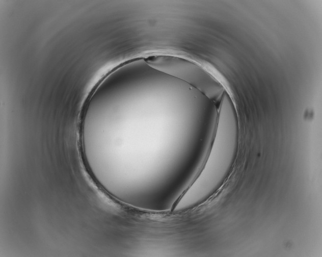 X0000089911005200707201752