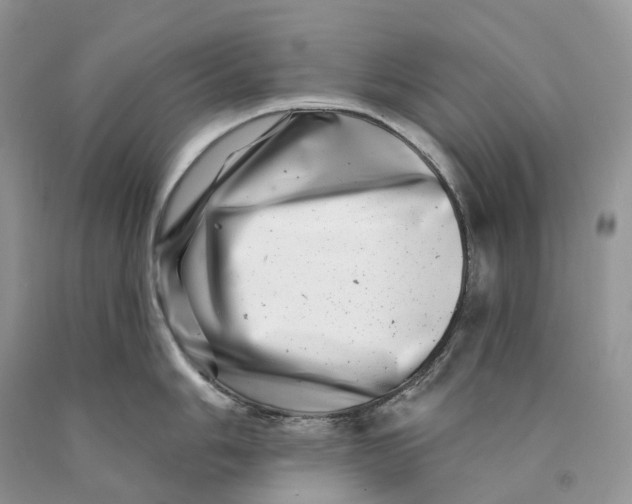 X0000089911006200707201752