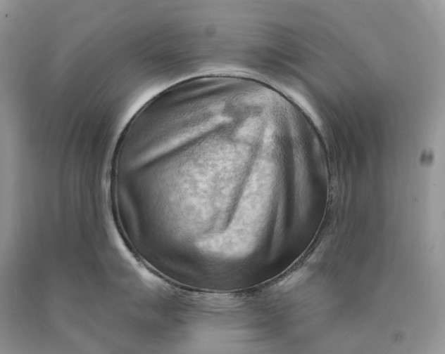 X0000089911007200707201752
