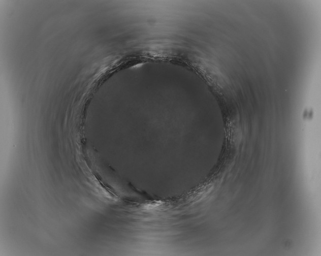 X0000089911009200707201751