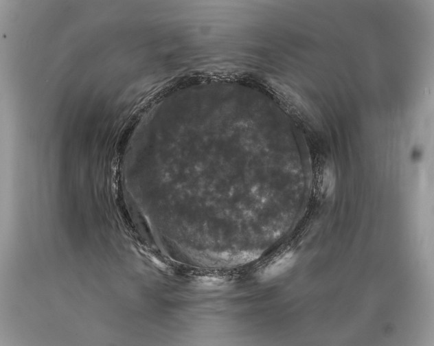 X0000089911010200707201751