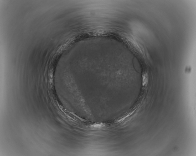 X0000089911011200707201751
