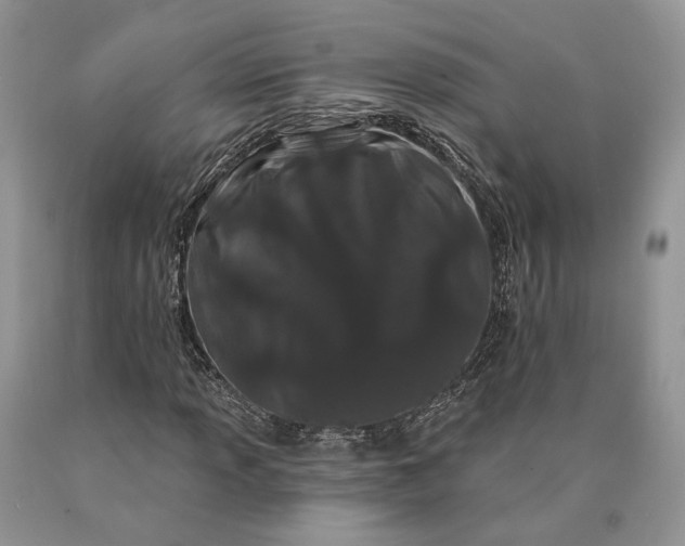 X0000089911013200707201751