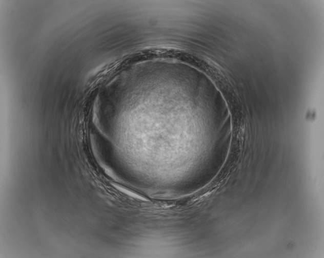 X0000089911014200707201751