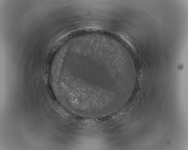 X0000089911015200707201751