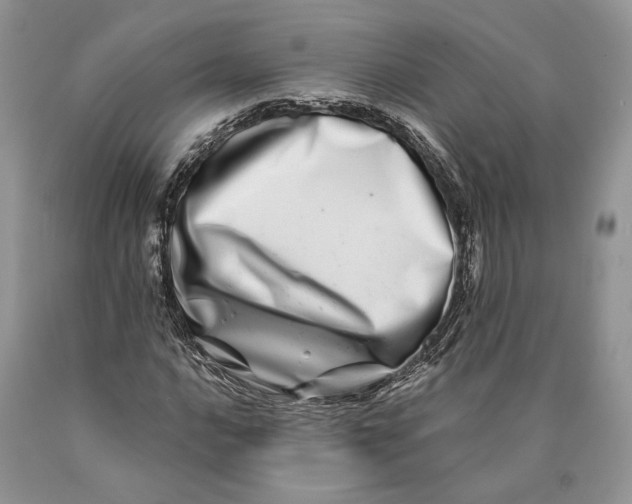 X0000089911016200707201751