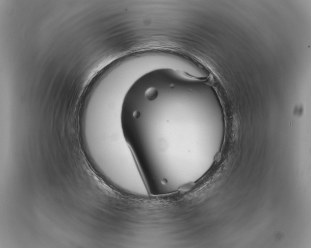 X0000089911018200707201751
