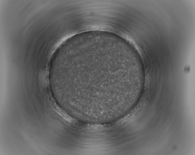 X0000089911019200707201751