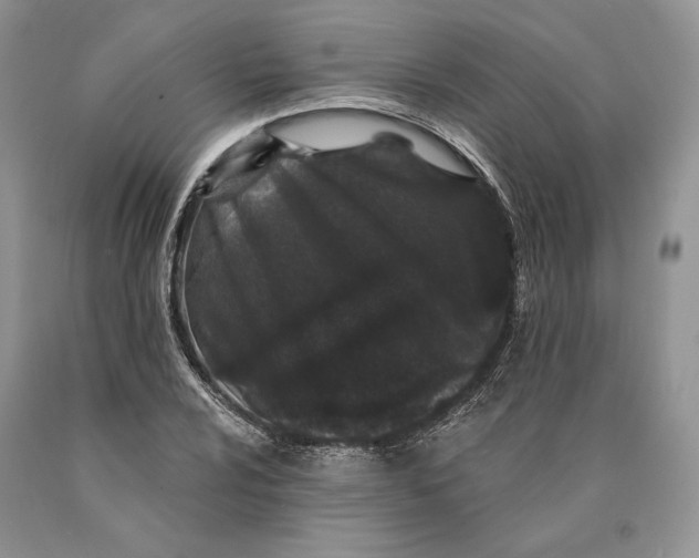 X0000089911024200707201751