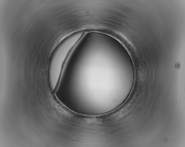 X0000089911025200707201751