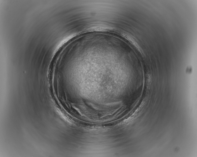 X0000089911026200707201751
