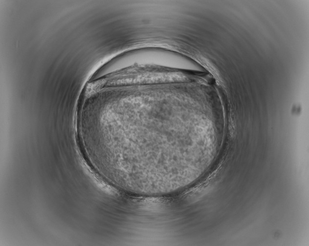 X0000089911028200707201751