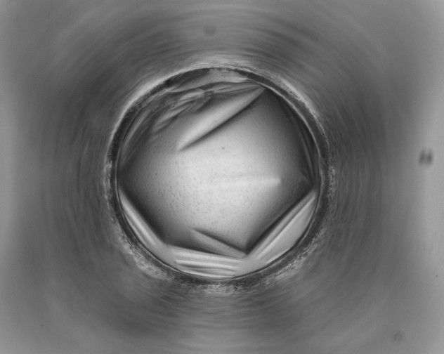 X0000089911029200707201751