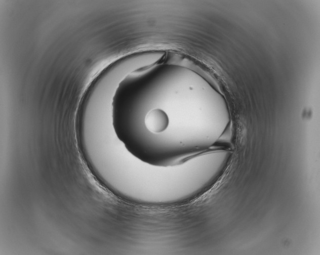 X0000089911030200707201752
