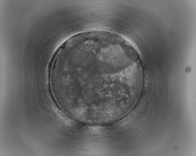 X0000089911031200707201752