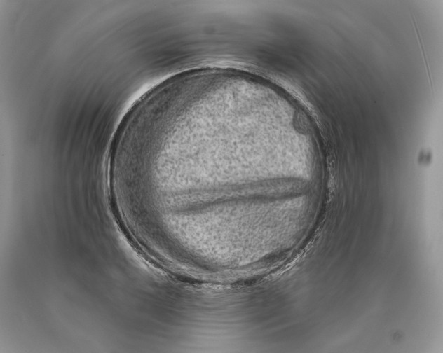 X0000089911032200707201752