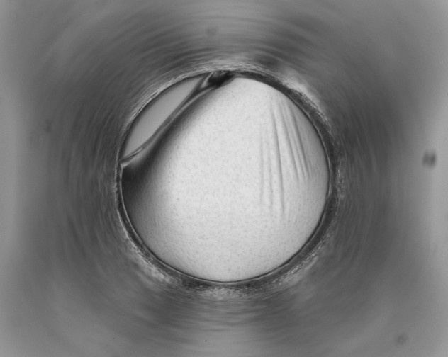 X0000089911033200707201752
