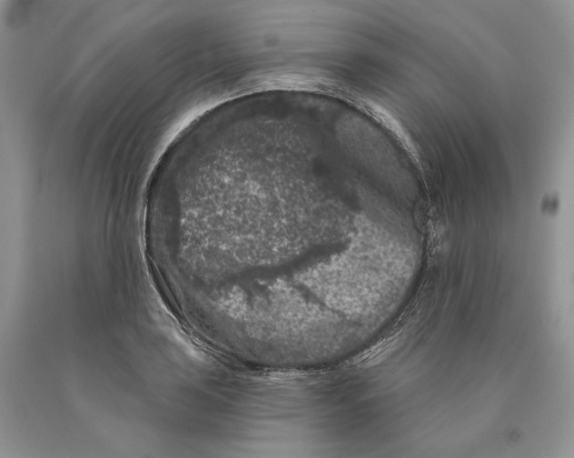 X0000089911035200707201752