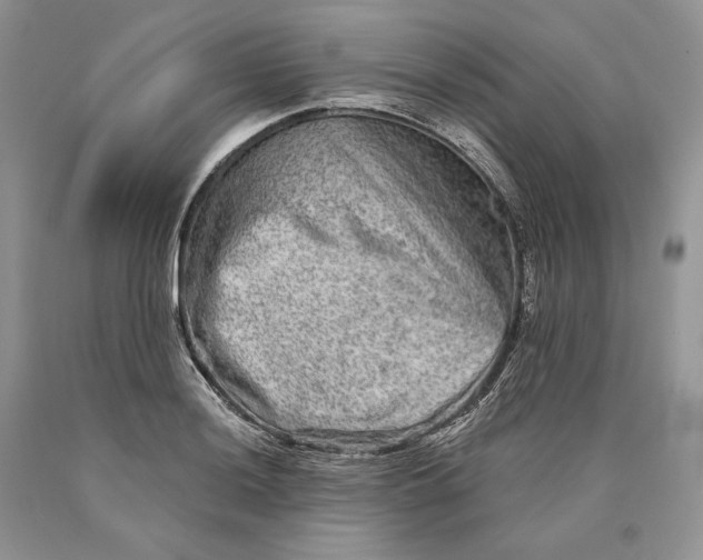 X0000089911036200707201752