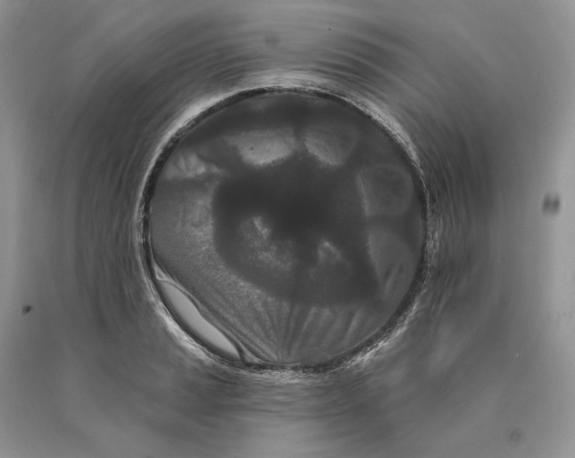 X0000089911037200707201752