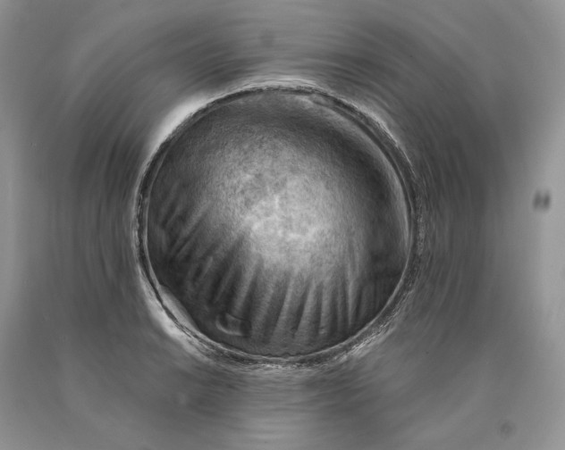 X0000089911038200707201752