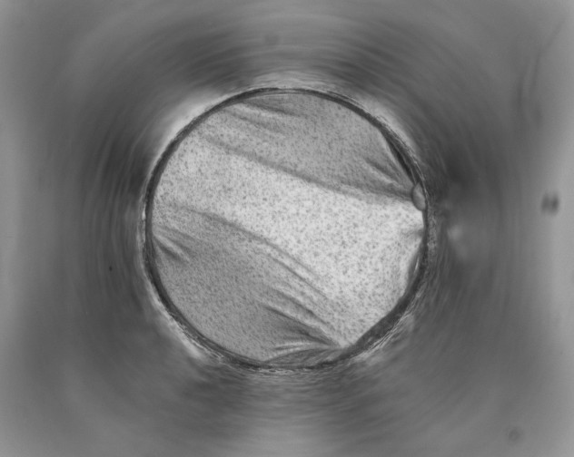 X0000089911040200707201752