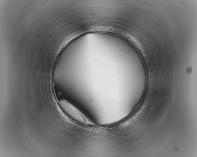 X0000089911041200707201752