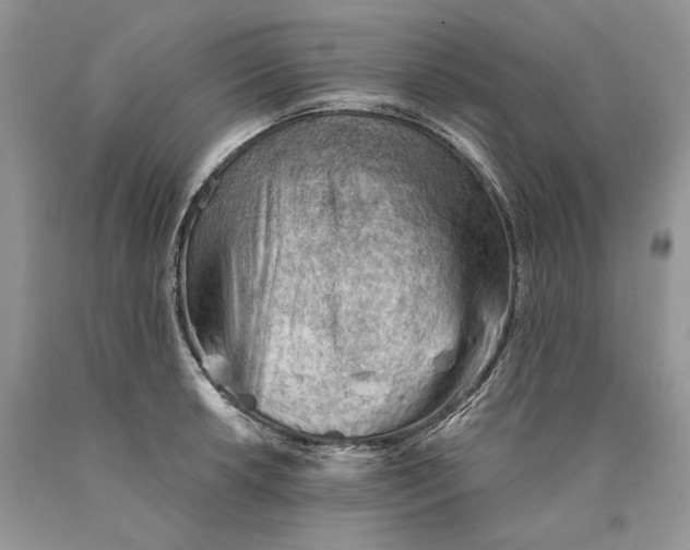 X0000089911042200707201752