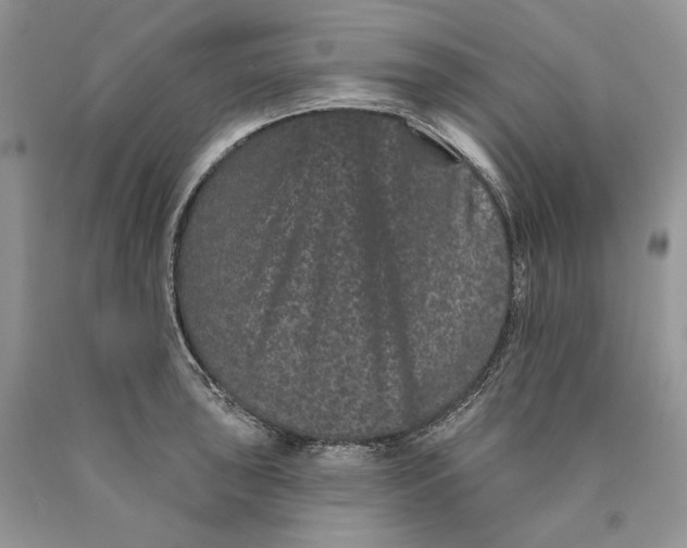 X0000089911043200707201752