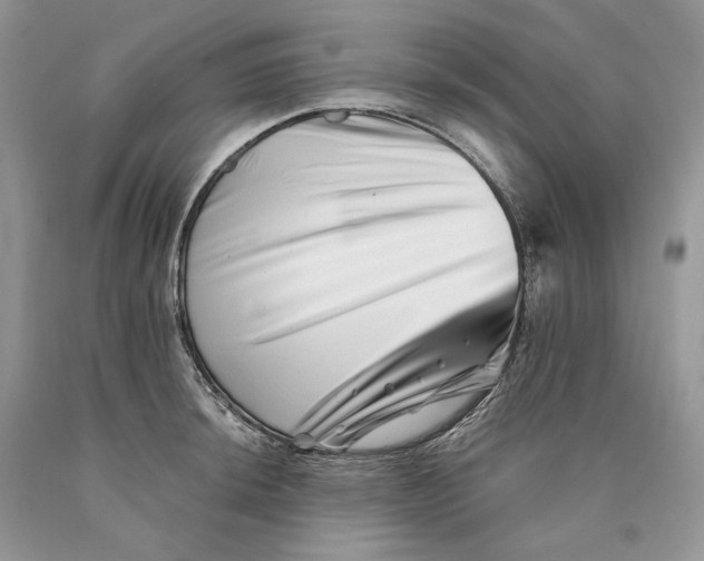 X0000089911044200707201752