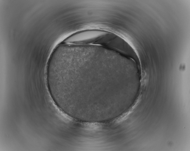 X0000089911045200707201752