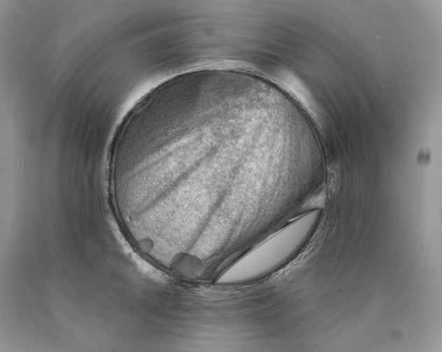 X0000089911046200707201752