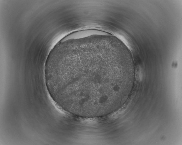X0000089911047200707201752