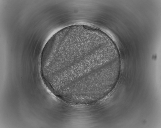 X0000089911048200707201752