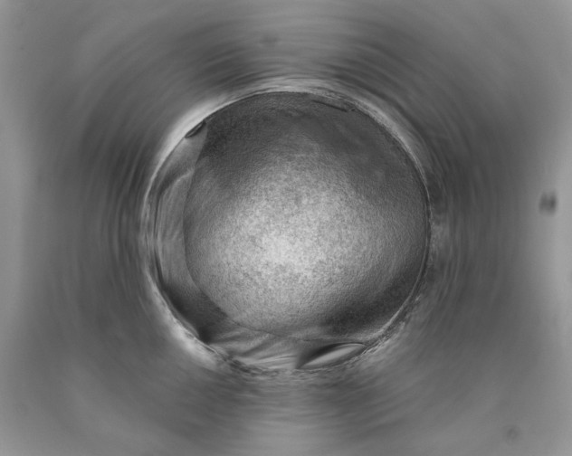 X0000089911050200707201752