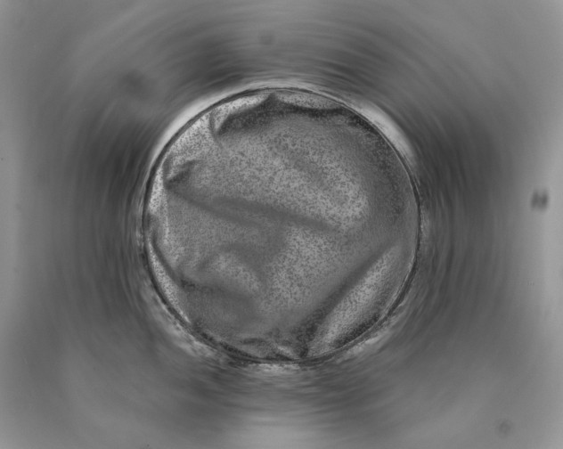 X0000089911052200707201752