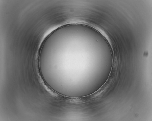 X0000089911053200707201752