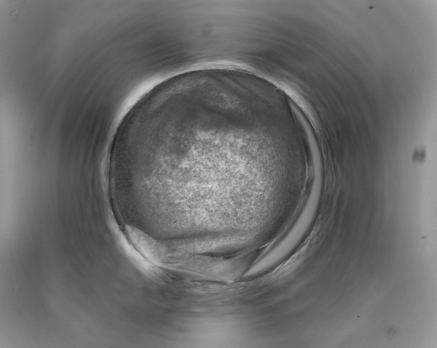 X0000089911054200707201752