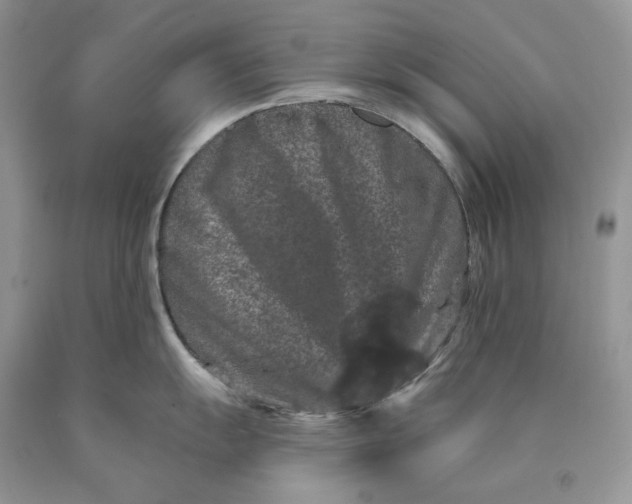X0000089911055200707201752