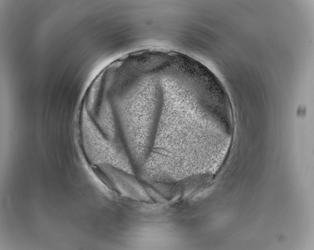 X0000089911056200707201752