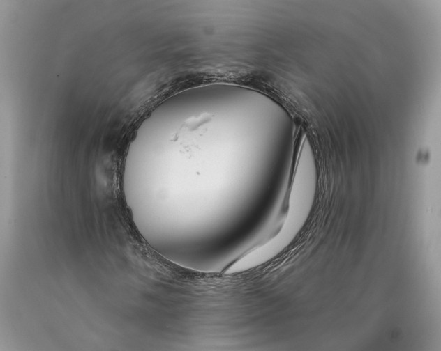 X0000089911058200707201751