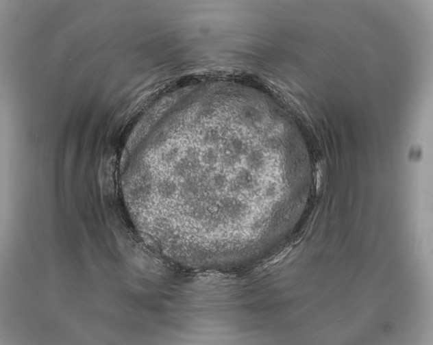 X0000089911059200707201751