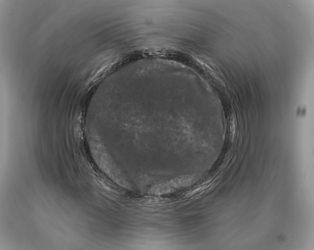 X0000089911060200707201751