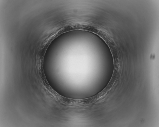 X0000089911061200707201751